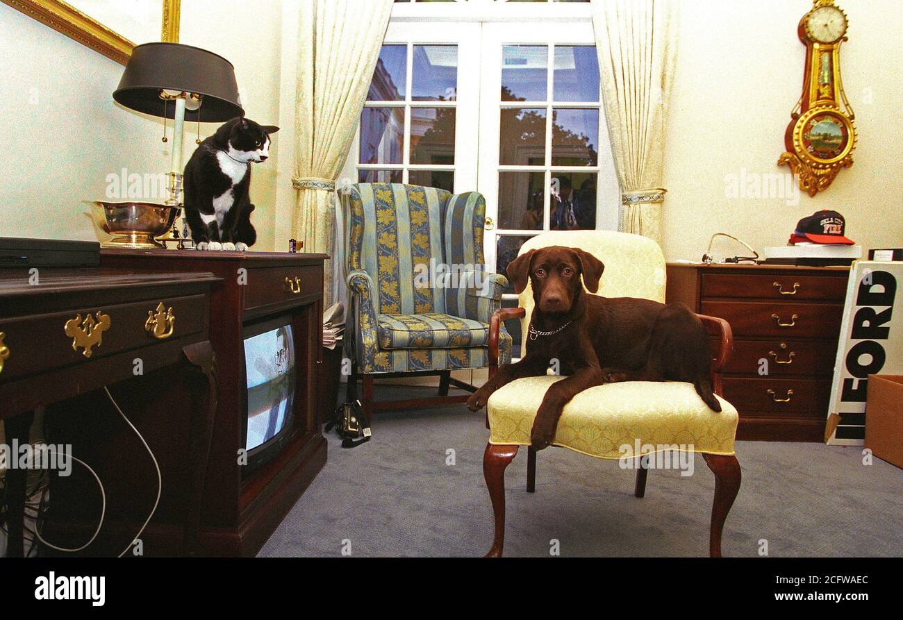 1/5/1998 - Foto von Buddy, den Hund und die Katze Socken in der äußeren Oval Office Stockfoto