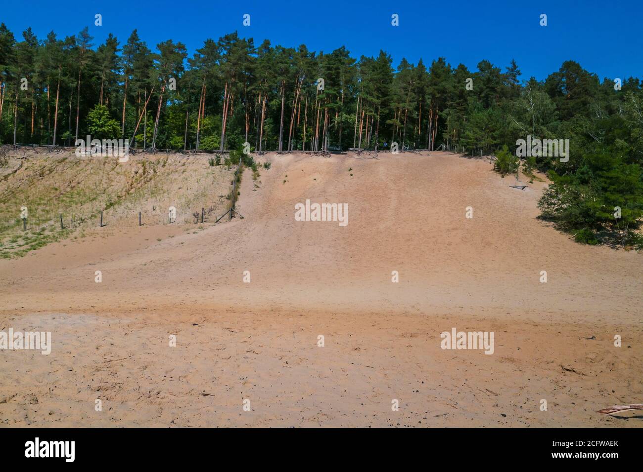 Sanddünen im Wald, ein Naturschutzgebiet und urbane Tierwelt Lebensraum. Sandgruben im Jagen im Grunewald, Berlin, Deutschland. Stockfoto