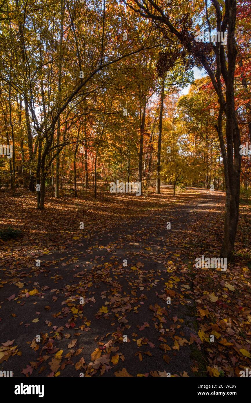 Herbstszene in East Tennessee Stockfoto
