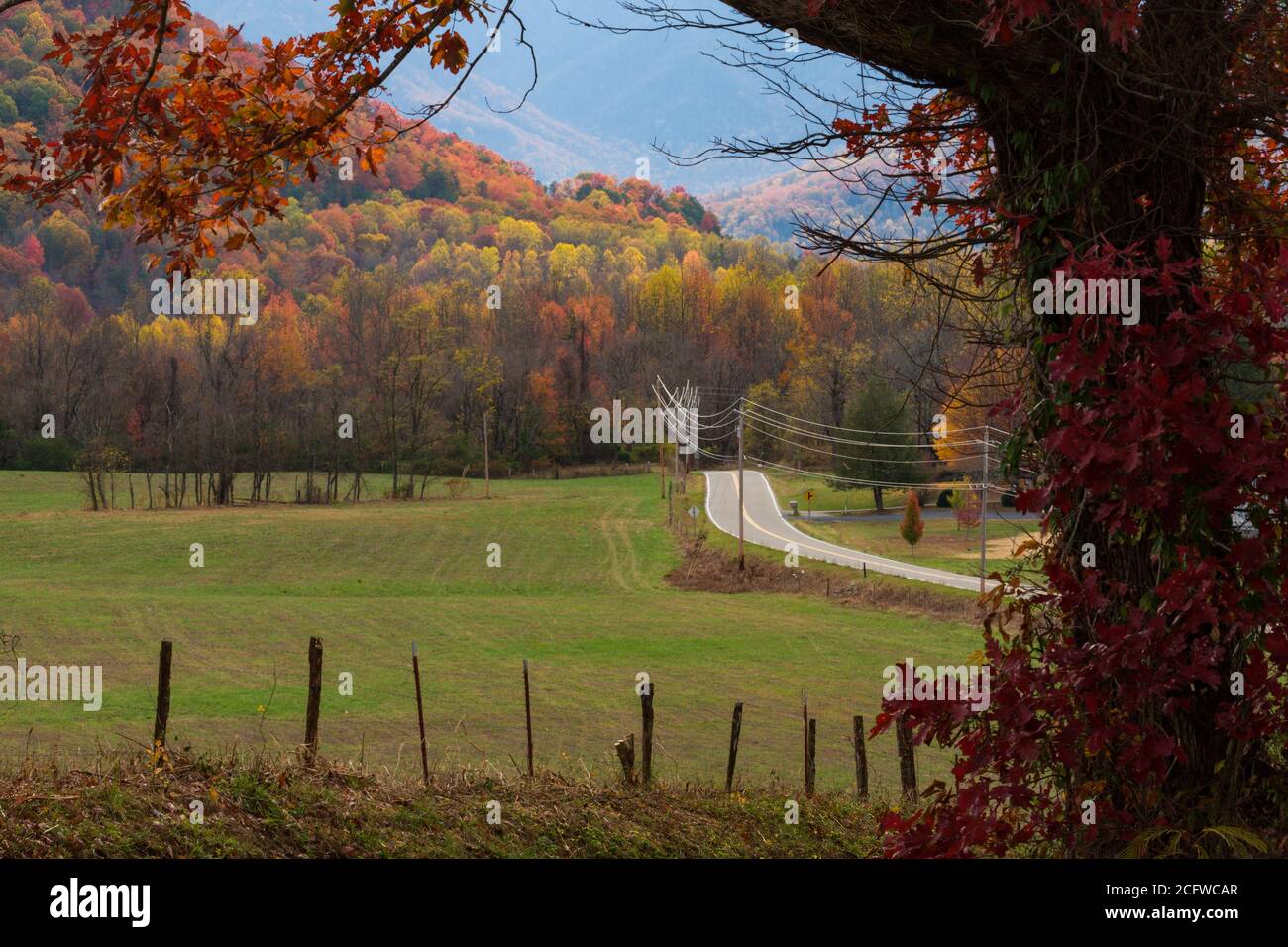 Herbstfarbe in East Tennessee Stockfoto