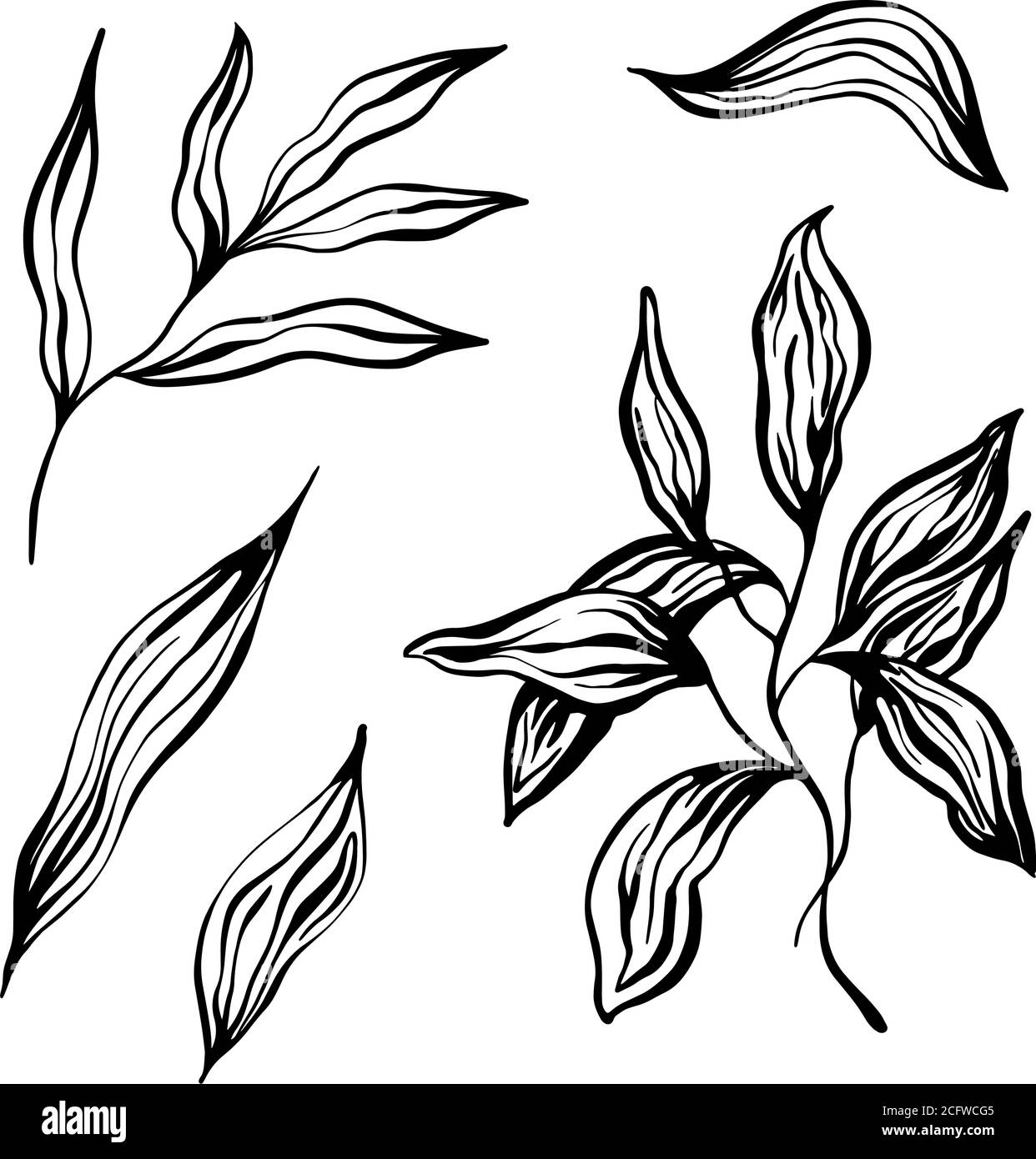 Satz Blätter. Blätter, Zweige, Blumen. Stock Vektor