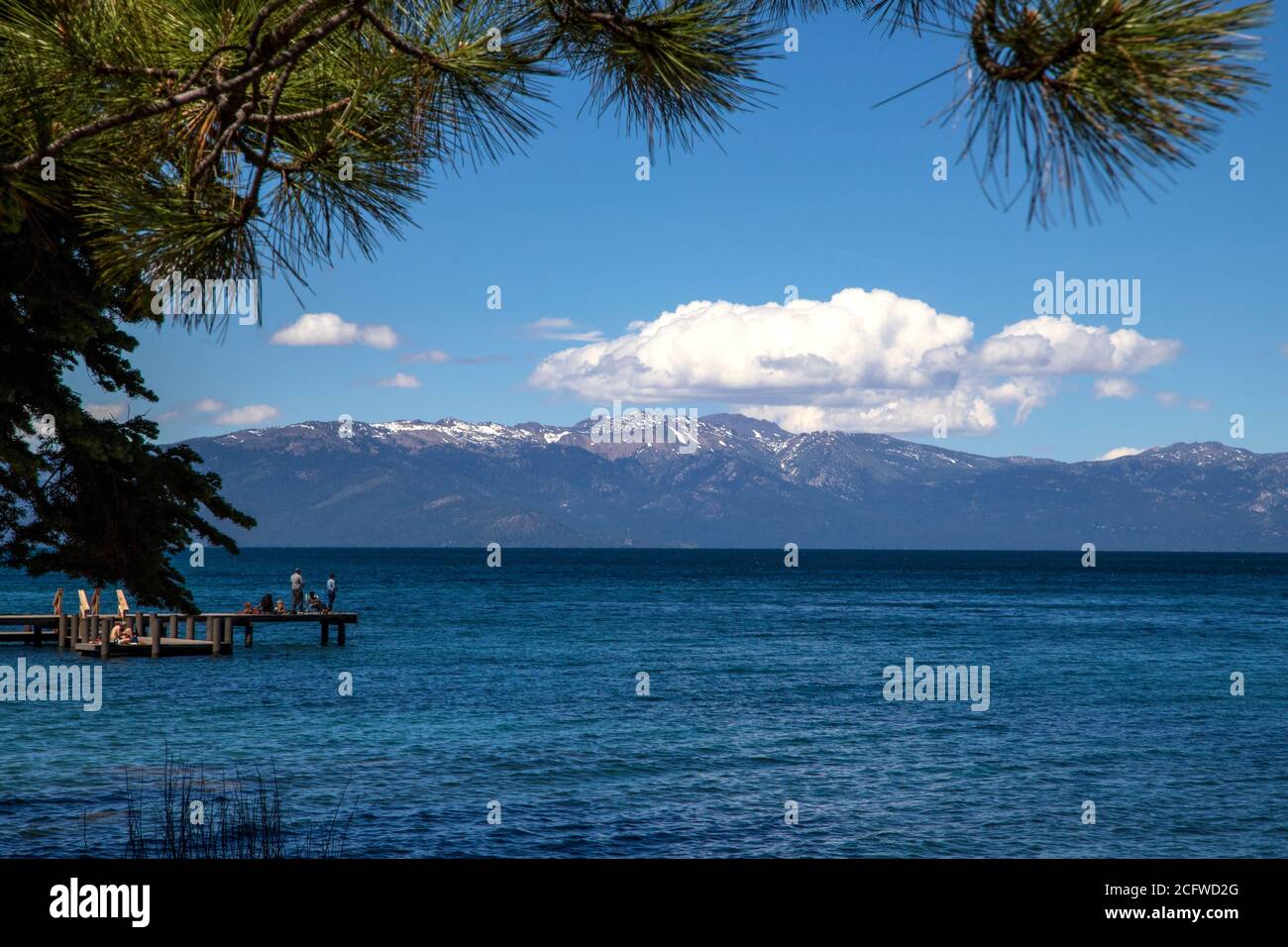 Lake Tahoe tiefblaues Wasser, Sugarpine State Park Pier, Menschen und Hund entspannen und Angeln, weiße flauschige Wolken, Sugarpine Laub im Vordergrund, mountai Stockfoto