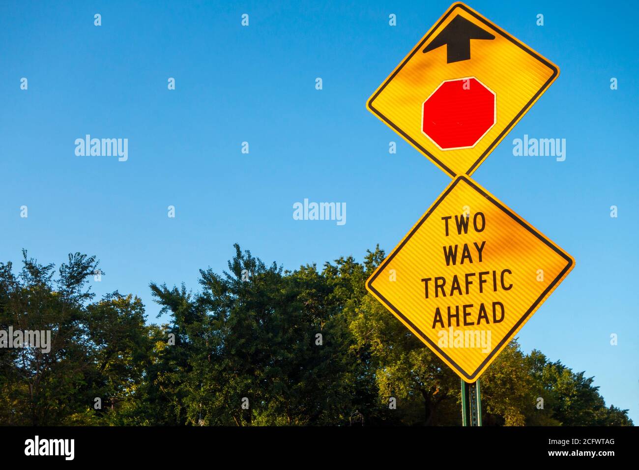 Zwei-Wege-Verkehrsschild mit Stoppschild-Symbol Und Pfeil Bäume und blau schüchtern im Hintergrund Stockfoto