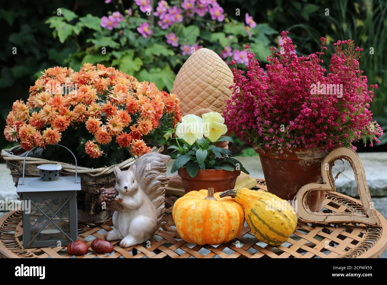 Herbstschmuck mit Herbstblumen, Kürbissen und dekorativen Eichhörnchen Stockfoto
