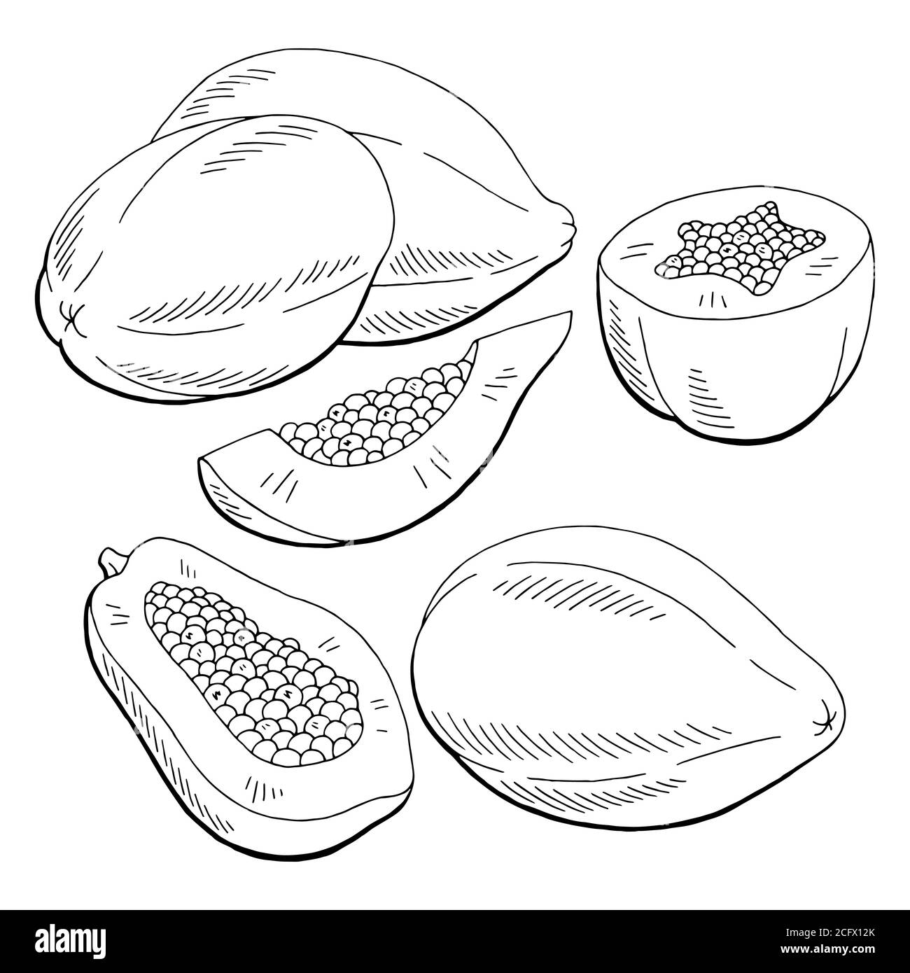 Papaya Frucht Grafik schwarz weiß isoliert Skizze Illustration Vektor Stock Vektor