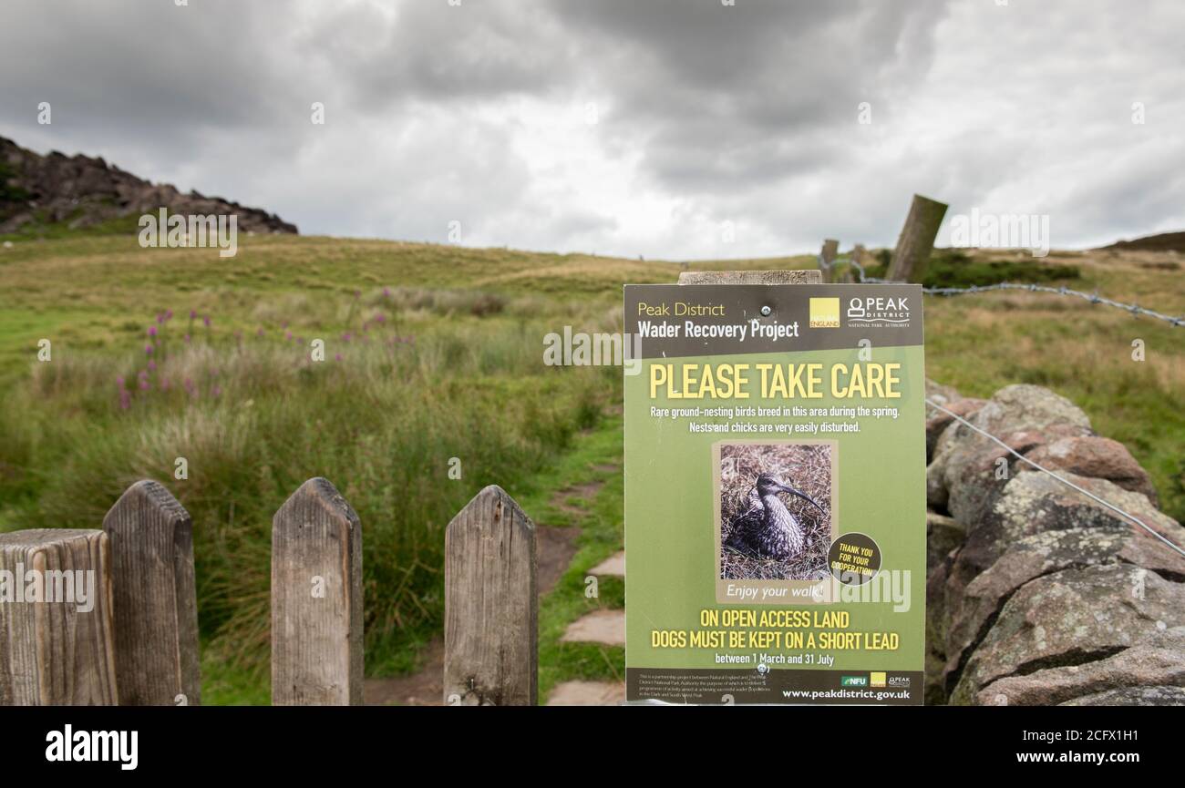 Peak District Wader Recovery-Projekt, Ground Nisting Vögel Warnschild, halten Hunde auf einer kurzen Führung Stockfoto