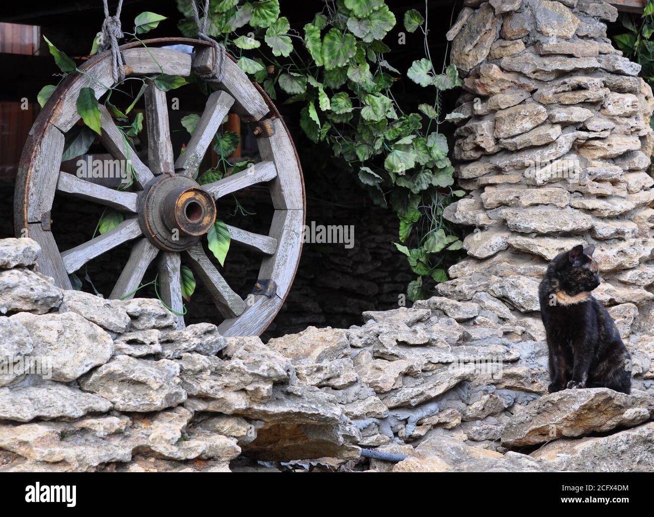Schwarze Katze sitzt auf den Felsen. Ein dekoratives antikes Holzrad. Stockfoto