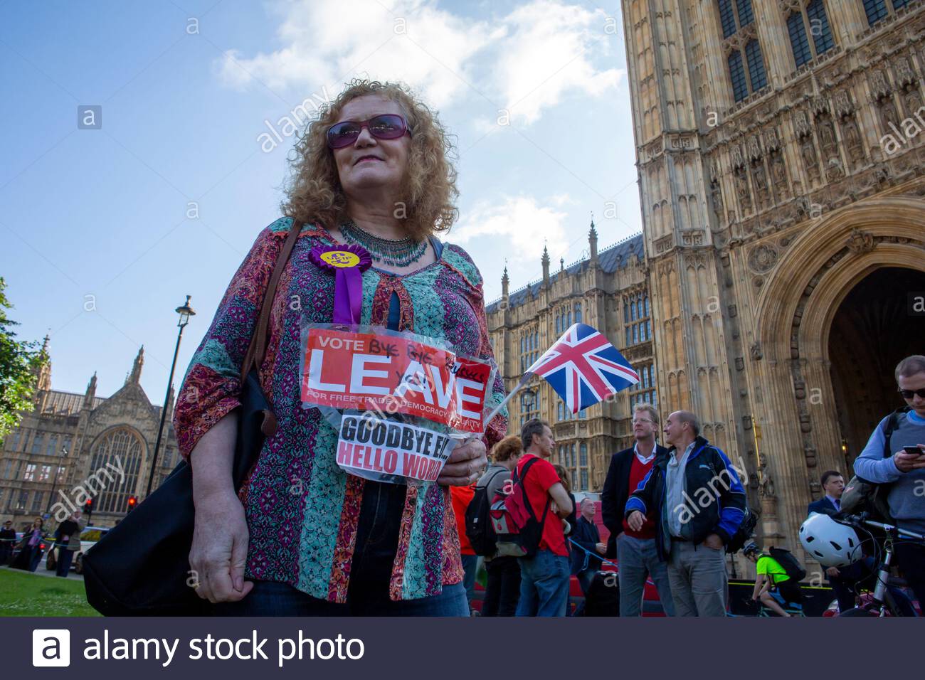 Ein siegreicher Leve-Unterstützer vor dem Palast von Westminster nach dem EU-Wahlergebnis. Stockfoto