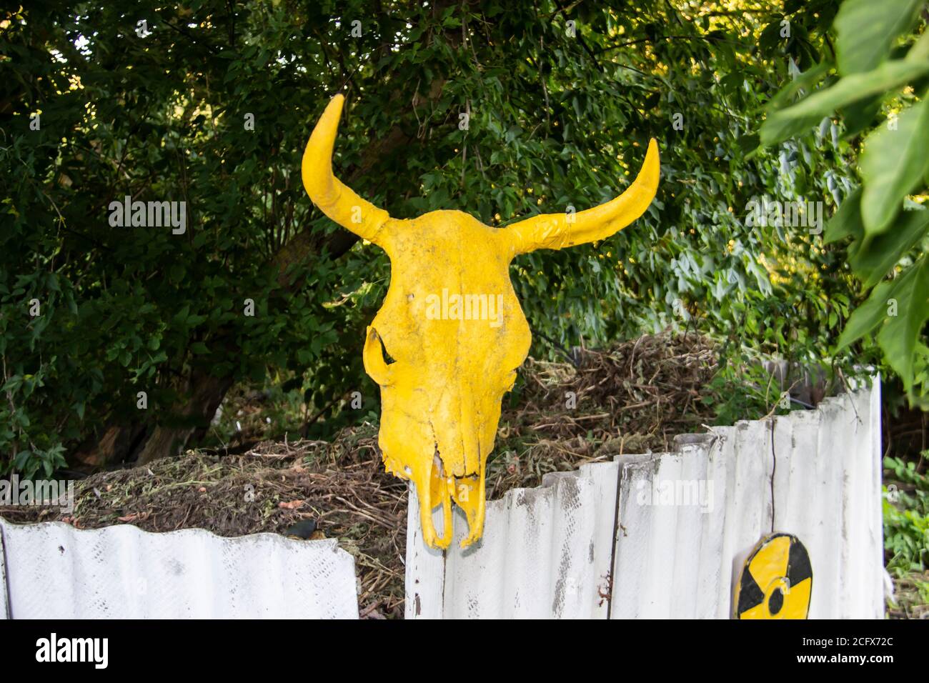 An einem Zaun hängt ein gelber Stierschädel. Ein Schädel des Stiers in Gelb gemalt. Stockfoto