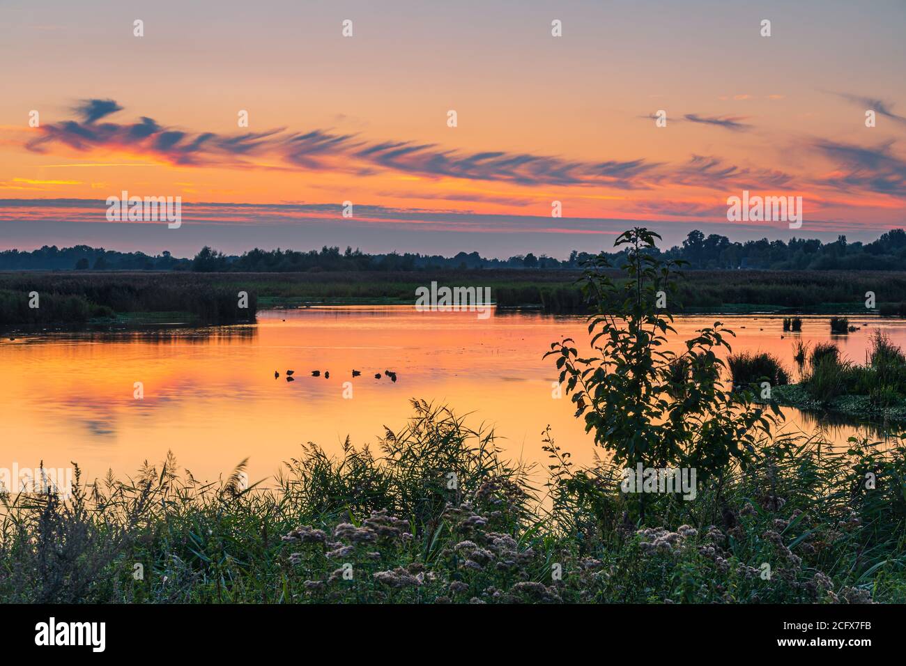 Landschaft die Onlanden, ein Naturschutzgebiet an der Grenze der Provinzen Groningen und Drenthe, im nördlichen Teil der Niederlande. Stockfoto