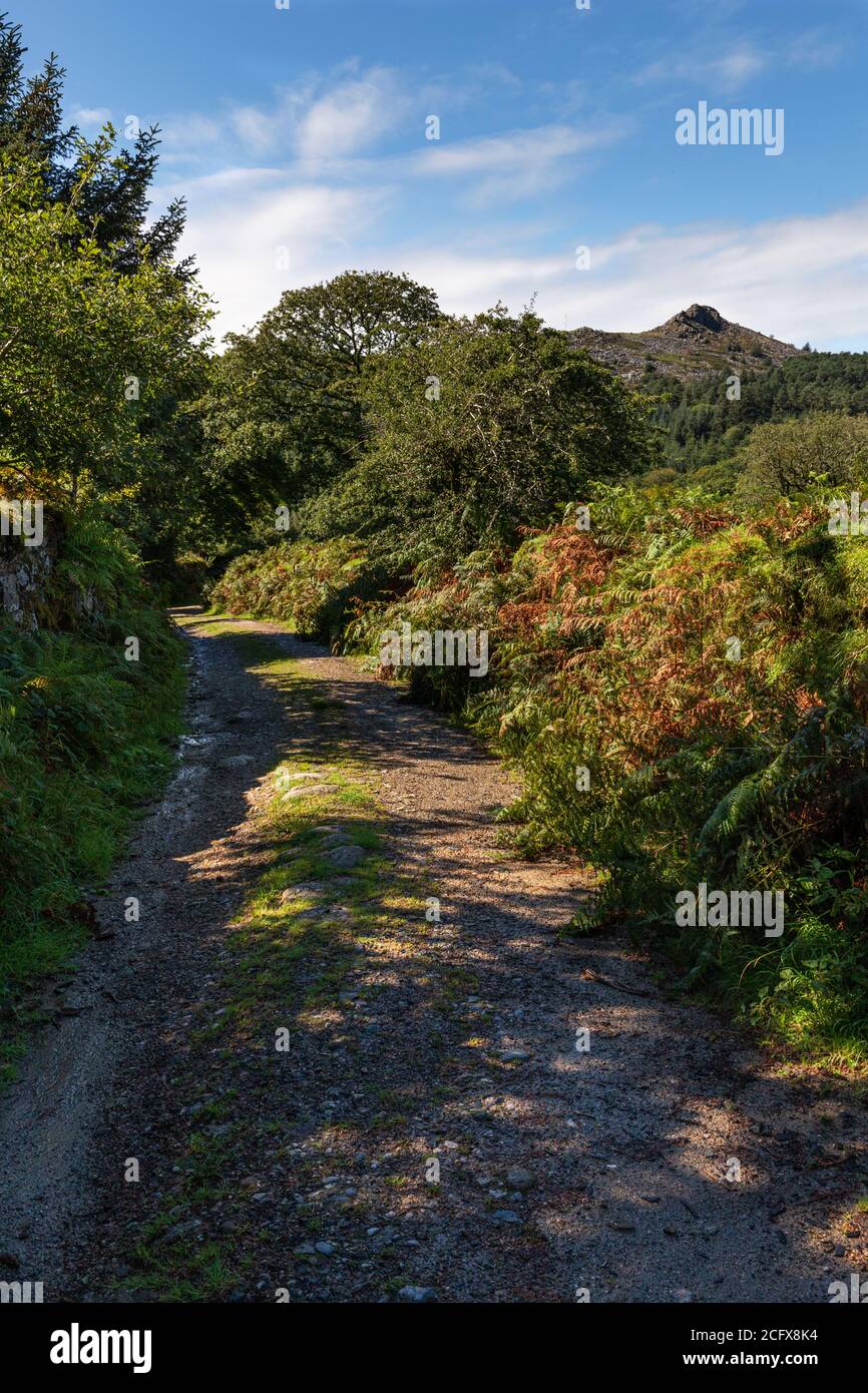 Farm Track mit Blick auf Leather Tor Stockfoto