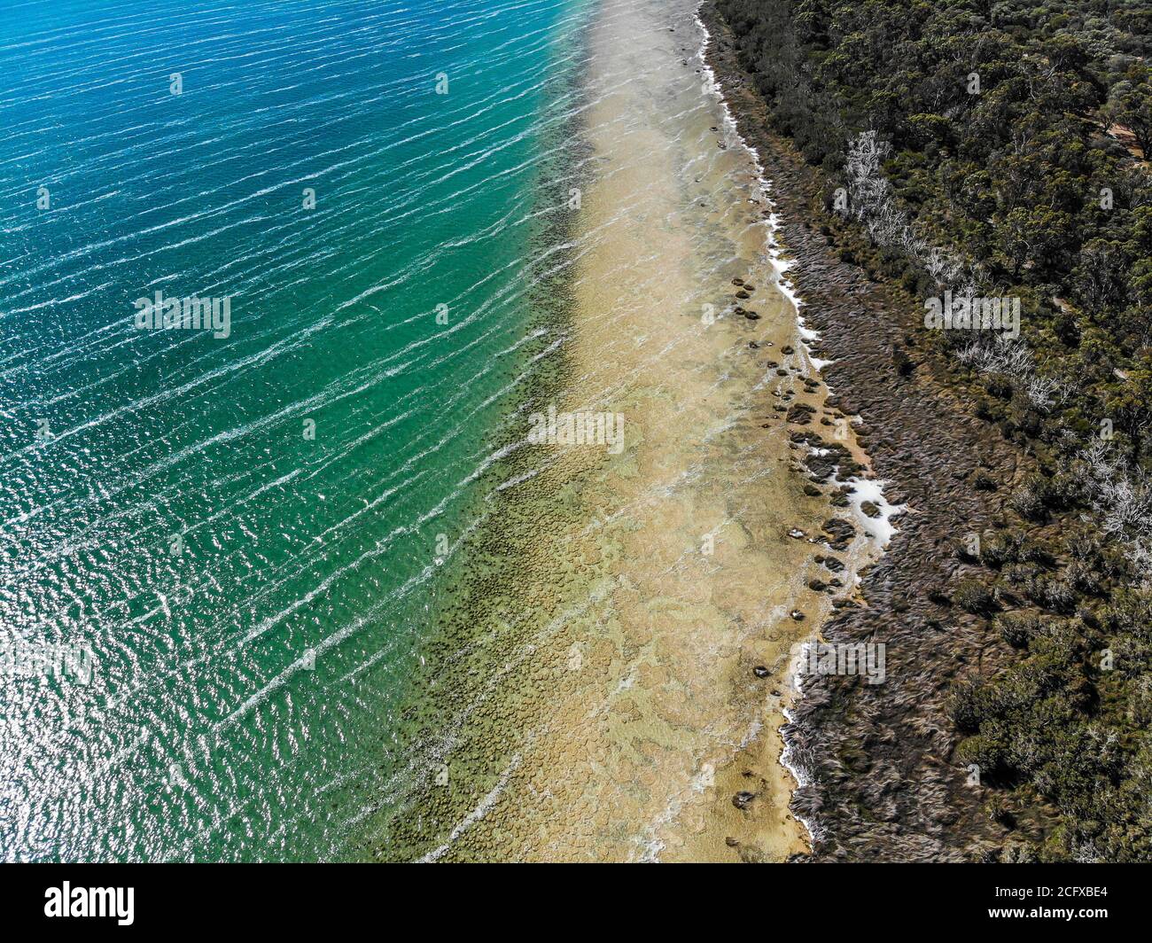 Luftaufnahme über dem Lake Clifton in Western Australia, zeigt ein Riff aus Thromboliten. Stockfoto