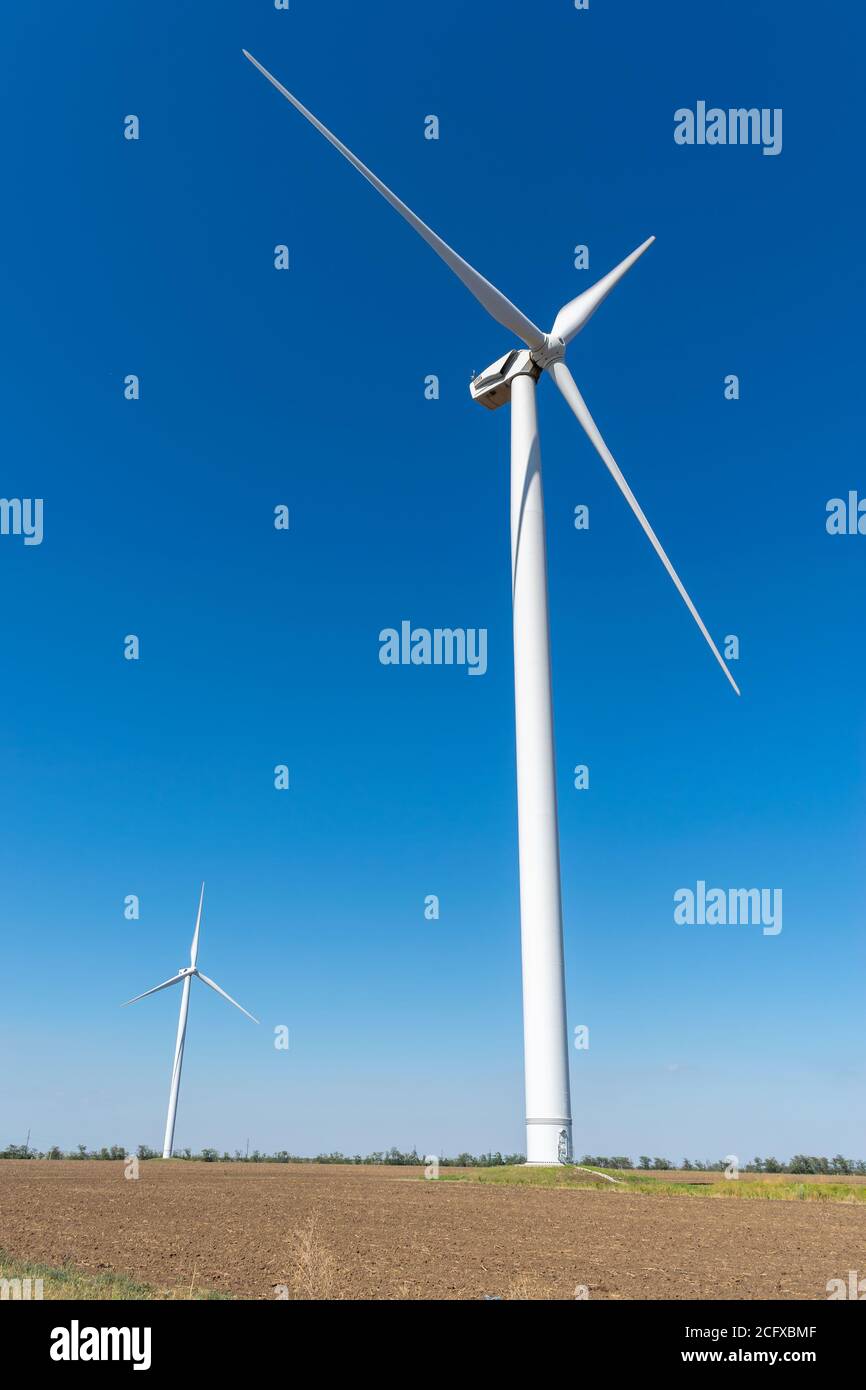 Windturbinen im Sommer auf dem Feld Stockfoto