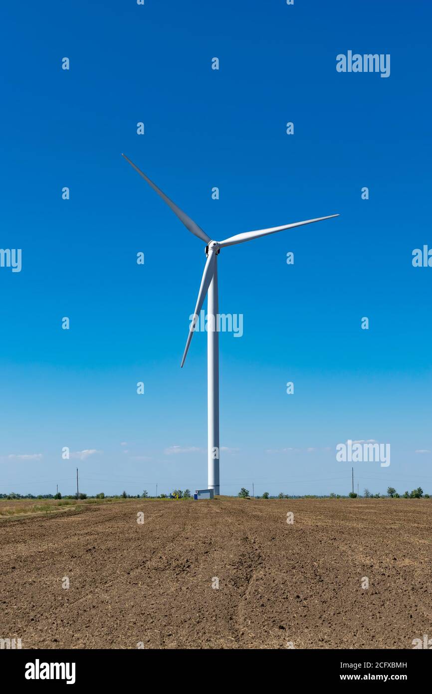 Windturbinen im Sommer auf dem Feld Stockfoto