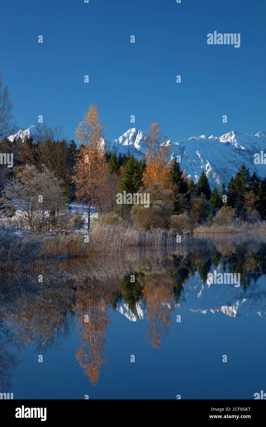 Geographie / Reisen, Deutschland, Bayern, Halblech, Hegratsrieder See mit den Allgäuer Alpen, Hegratsried, Additional-Rights-Clearance-Info-not-available Stockfoto