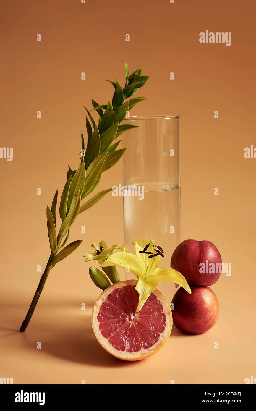 Ein Stillleben von Blatt, das auf einem Glas Wasser mit einer gelben Blume und Pfirsichen über einem orangefarbenen Hintergrund führt, was einen monochromatischen Look macht. Stockfoto