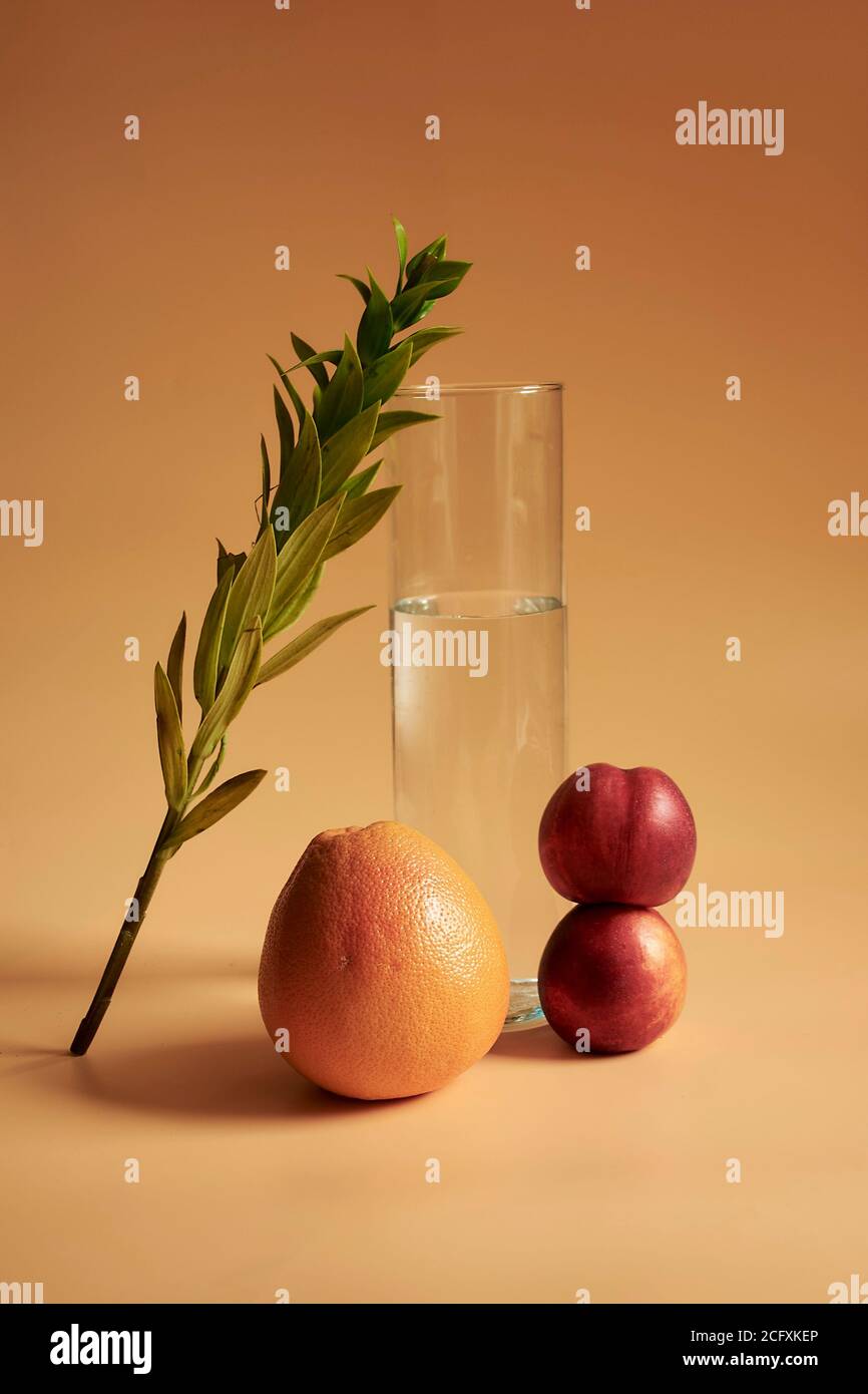 Ein Stillleben eines Blattes, ein Glas Wasser, Pfirsiche und Orange auf einem orangefarbenen Hintergrund, was einen monochromatischen Look macht. Stockfoto