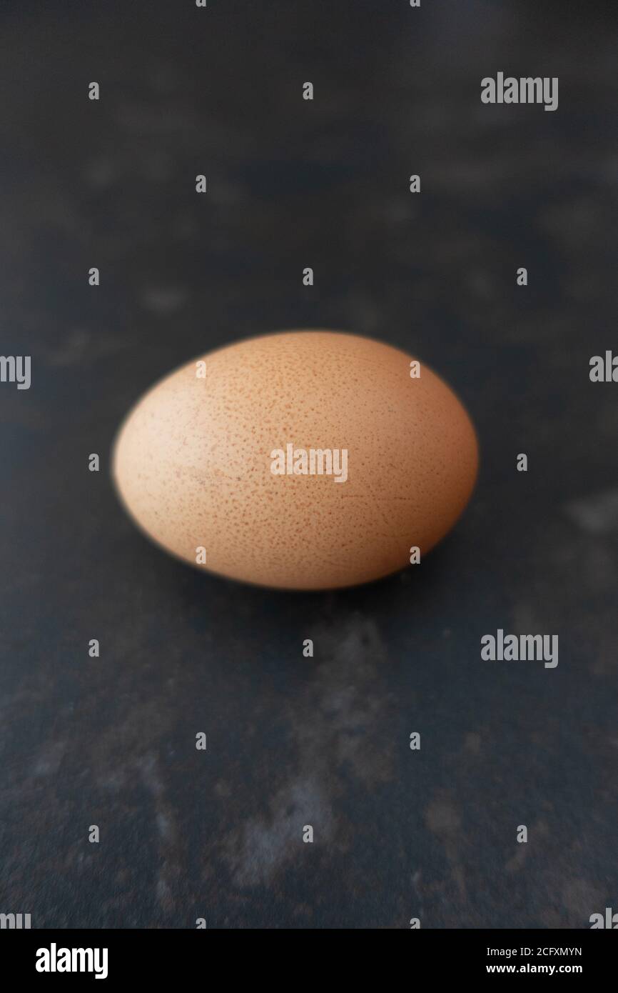 1 Hähnchen-Ei auf einfachem Hintergrund Stockfoto