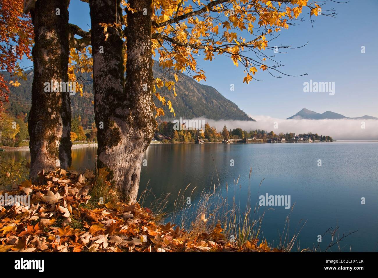 Walchensee Stockfotos und -bilder Kaufen - Alamy