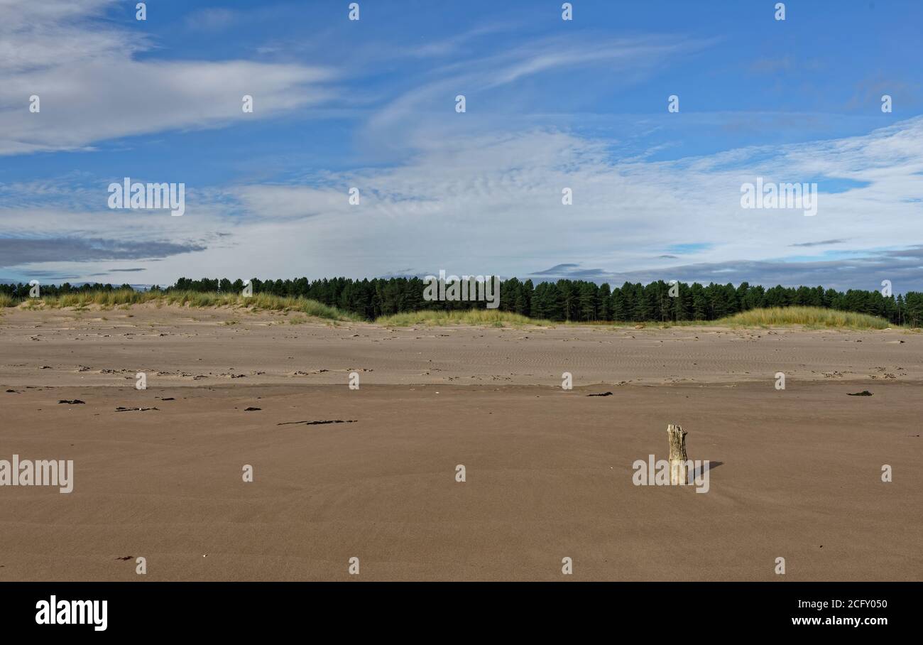 Tentsmuir Point bei Ebbe mit einem kleinen hölzernen verwitterten Marker auf dem Vorland des breiten Sandstrands, mit großen Gezeitenbecken im Hintergrund. Stockfoto