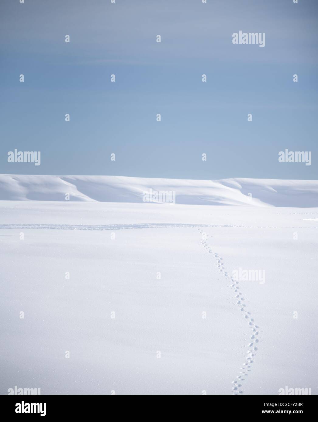 Schritte entlang eines unendlichen Schneefeldes Stockfoto