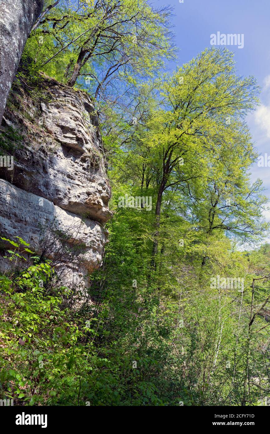 Europa, Luxemburg, Grevenmacher, Mullerthal, Felsformationen wie Menschengesicht vom Mullerthal Trail in der Nähe des Schiessentumpel Wasserfalls Stockfoto