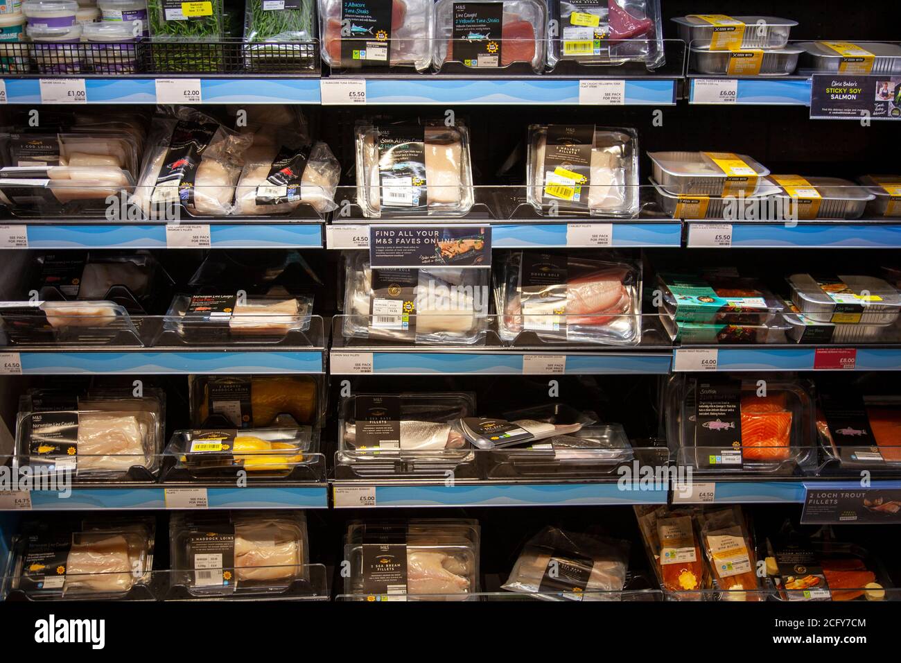 Marks and Spencer Store Interior , Fish Selection auf der St Johns Rd in Battersea, London, Großbritannien Stockfoto