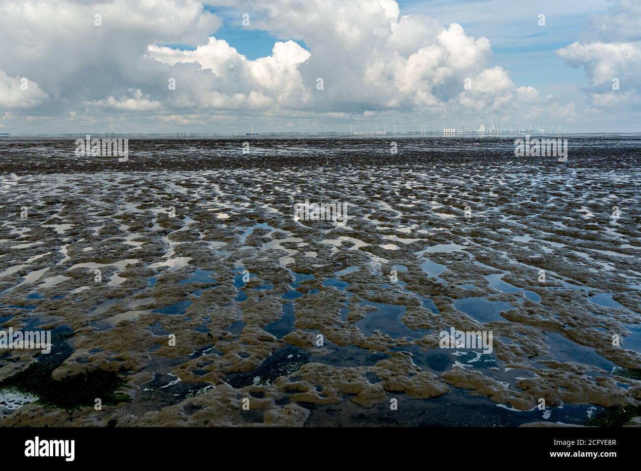 Blick auf das wattenmeer der Nordsee bei Ebbe bei emden, deutschland Stockfoto