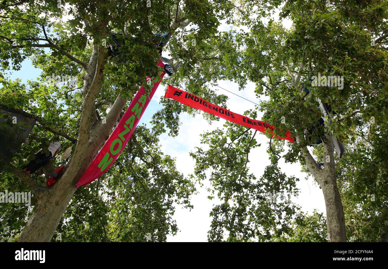 Extinction Rebellion Protestierende campen in Bäumen auf dem Parliament Square in London. Stockfoto