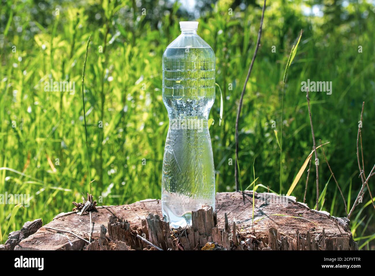 Transparente Flasche mit Wasser auf einem Baumstumpf im Gras im Sommer, Durstlöscher Konzept. Der Wasserhaushalt bleibt bei heißen Bedingungen erhalten Stockfoto