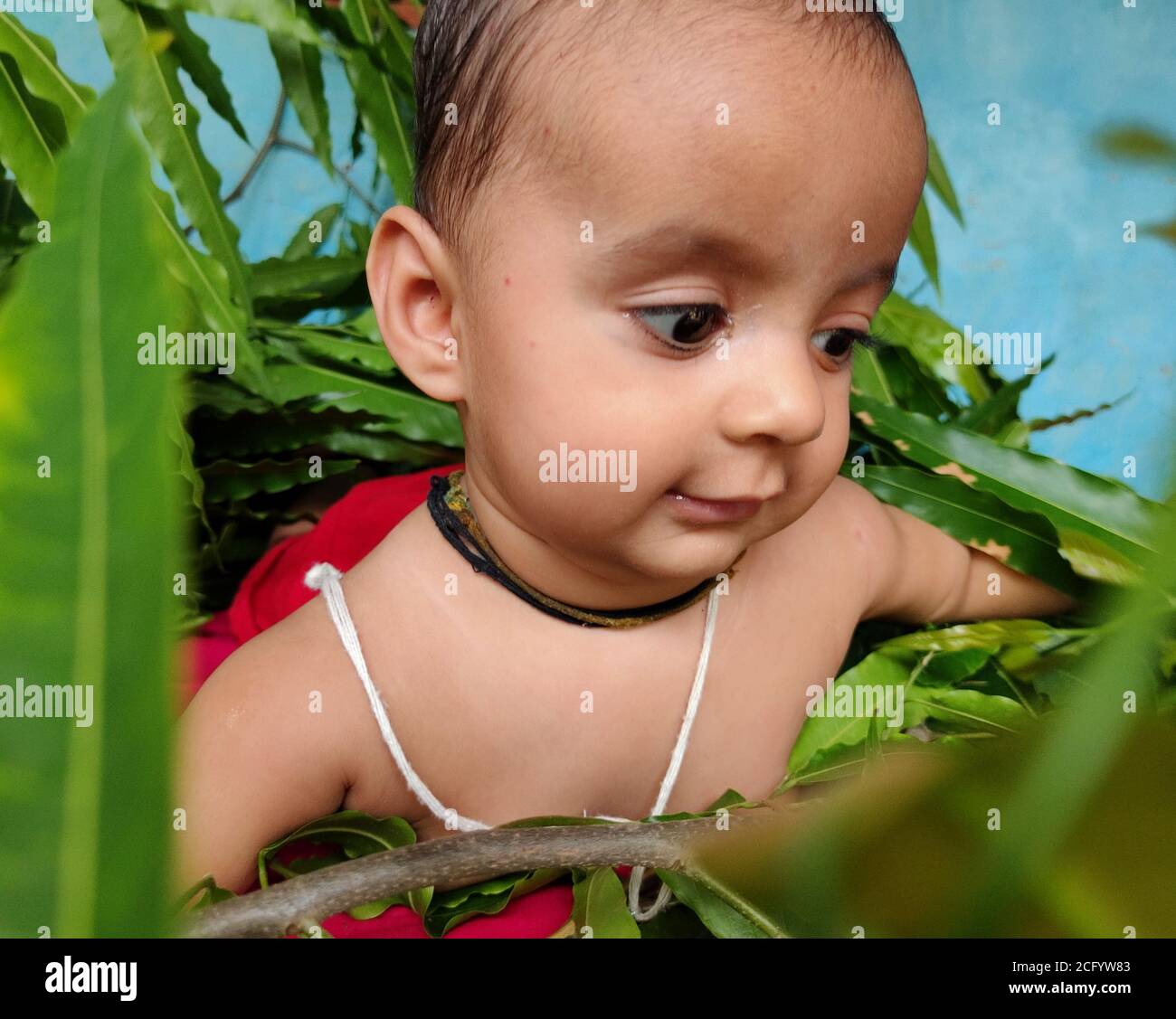 Kleinkind spielt mit Blättern und zeigt seinen süßen Gesichtsausdruck Nahaufnahme Stockfoto