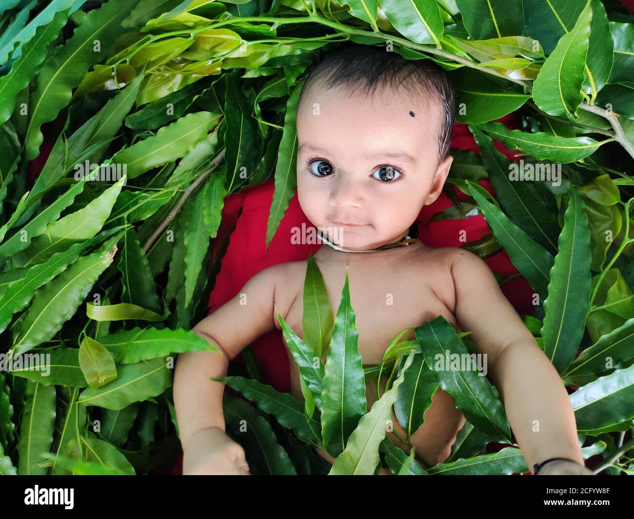Kleinkind spielt mit Blättern und zeigt seinen süßen Gesichtsausdruck Nahaufnahme Stockfoto
