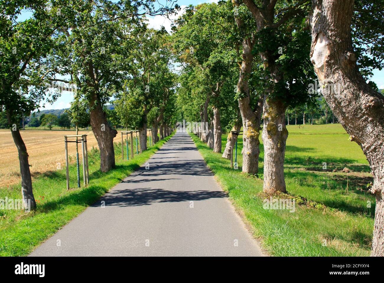 Gasse auf den Straßen der Insel Rügen Stockfoto