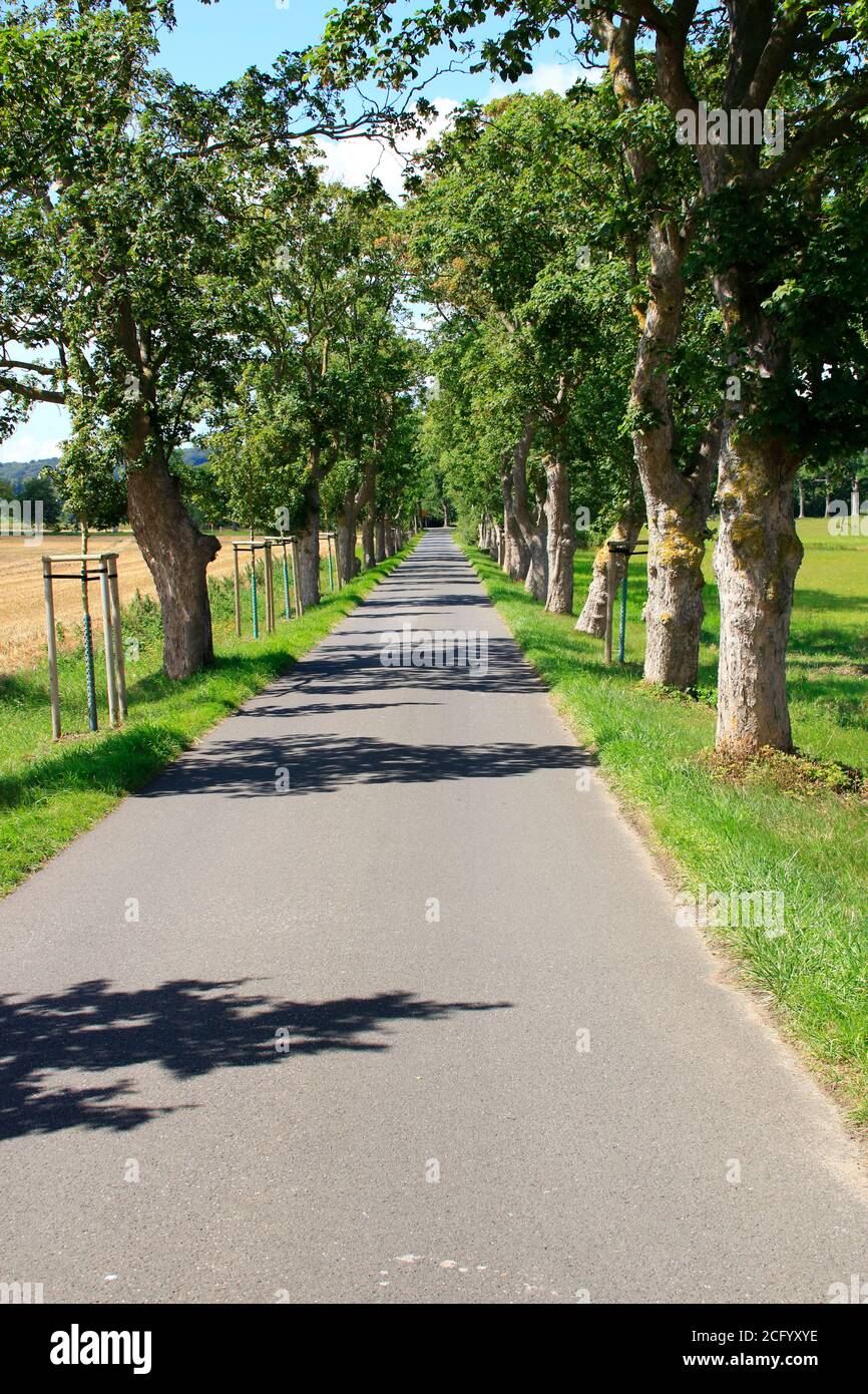 Gasse auf den Straßen der Insel Rügen Stockfoto