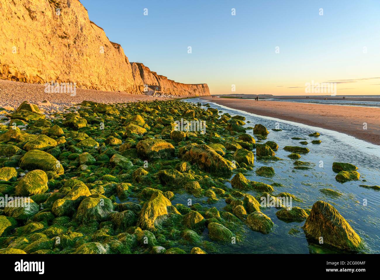 Frankreich, Pas-de-Calais (62), c?te d'Opale, Site des deux Caps, Escales, Cap Blanc-Nez, die Klippen von Cap Blanc-Nez Stockfoto