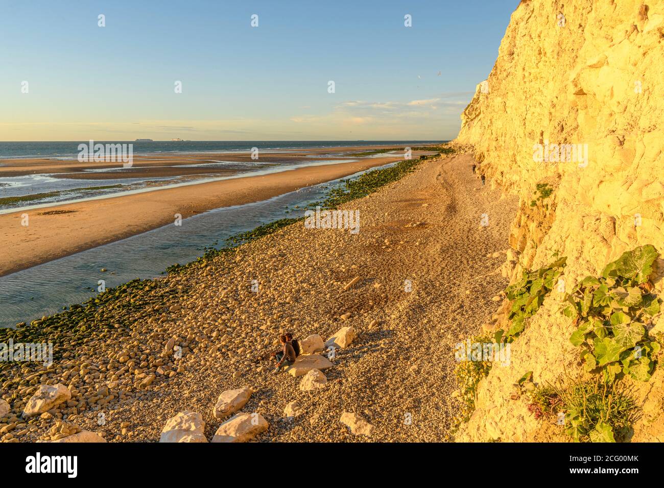 Frankreich, Pas-de-Calais (62), c?te d'Opale, Site des deux Caps, Escales, Cap Blanc-Nez, die Klippen von Cap Blanc-Nez Stockfoto