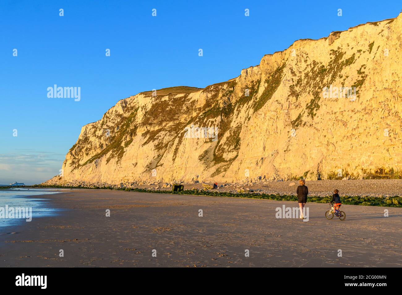 Frankreich, Pas-de-Calais (62), c?te d'Opale, Site des deux Caps, Escales, Cap Blanc-Nez, die Klippen von Cap Blanc-Nez Stockfoto