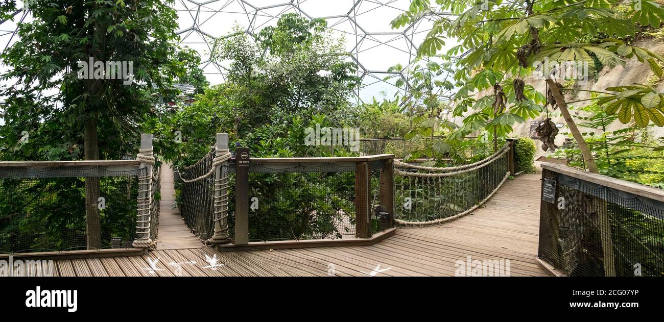 Ein Panoramablick auf das Innere der geodätischen Biom-Kuppeln des Regenwaldes im Eden Project in Cornwall. Stockfoto