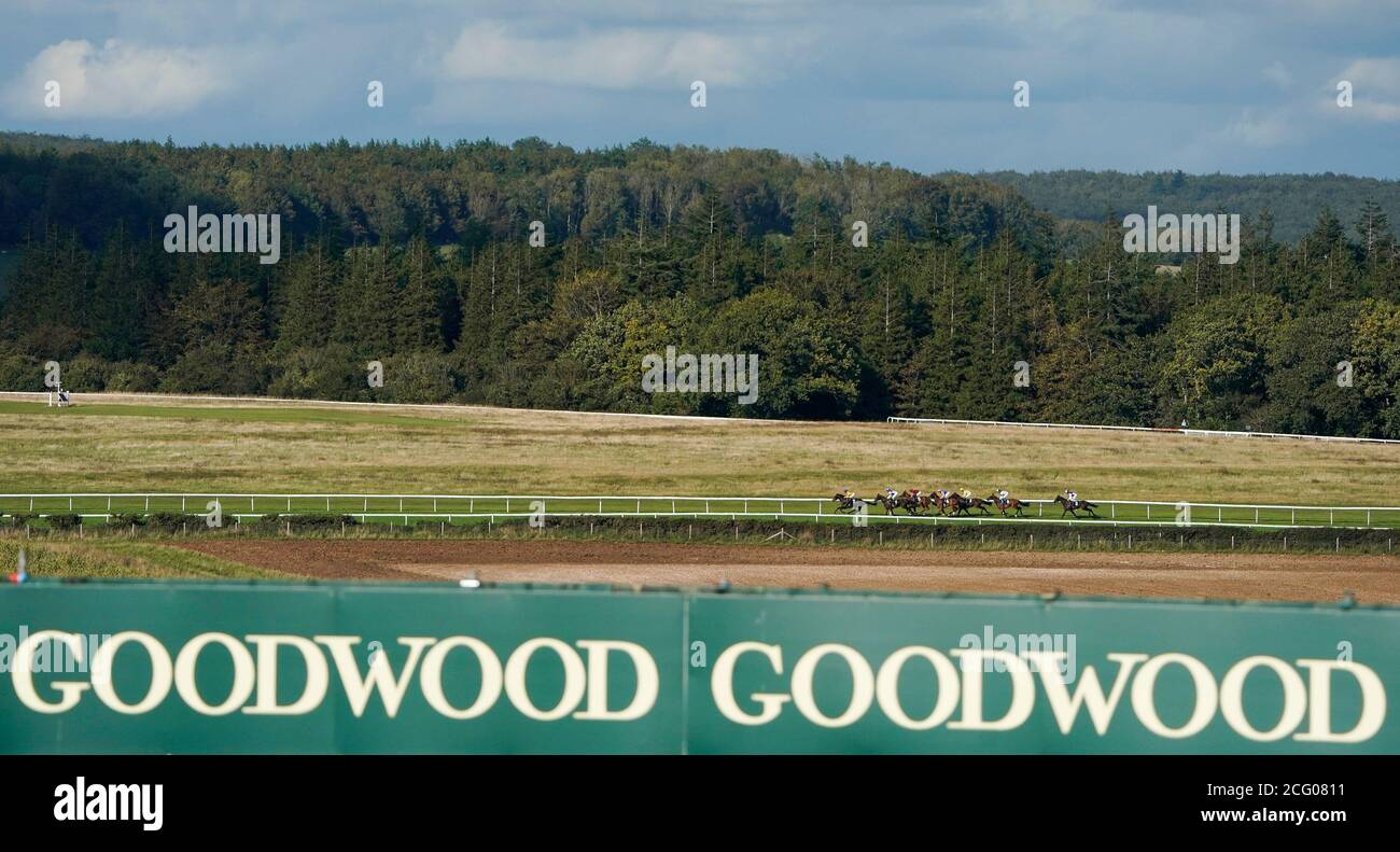 Hirsch Horn von Jockey Hollie Doyle (links) gewinnt das Royal Sussex Regiment Handicap auf der Goodwood Racecourse, Chichester. Stockfoto