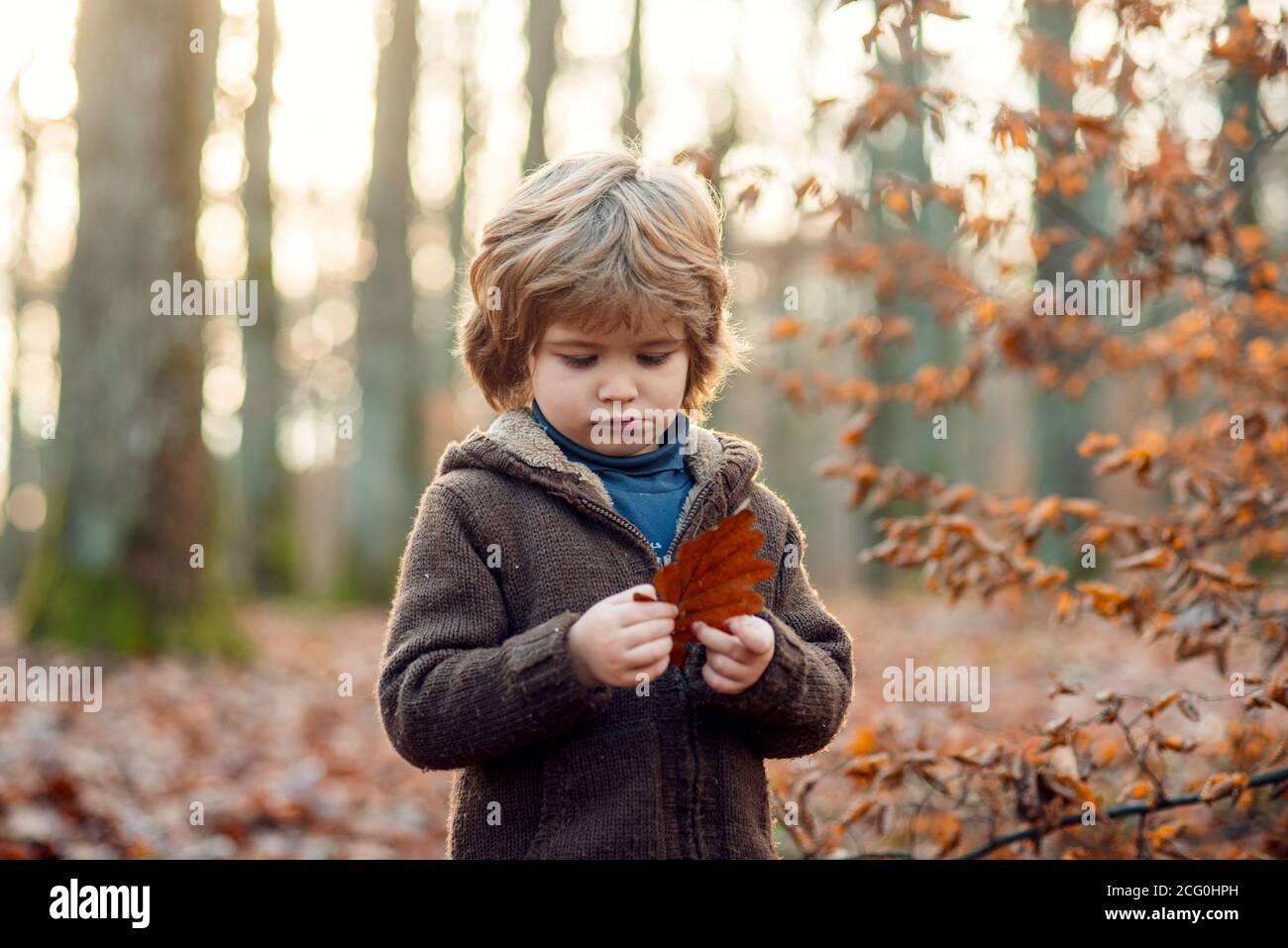 Kind auf einem Spaziergang im Herbstwald. Stockfoto