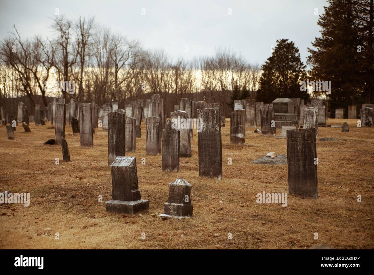 Gruseliger Friedhof an einem düsteren Tag: Alte Grabsteine, gelbes, trockenes Gras sind vorne, Bäume ohne Blätter und grauer Himmel im Hintergrund. Stockfoto