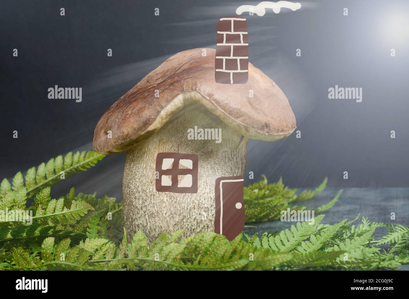 Ein großer Waldpilz in Form eines Hauses mit bemalten Fenstern und Türen mit Sonnenstrahlen, das Konzept der Kauf eines Hauses, Hypothek Stockfoto