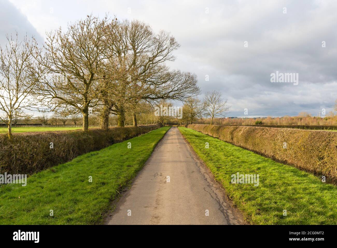 Englische Landschaft Landschaft von Bäumen und Pfad in ländlichen Buckinghamshire, England, Großbritannien Stockfoto