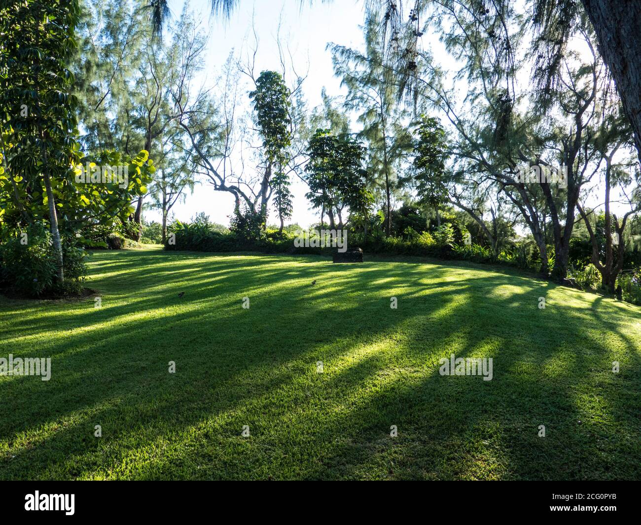 Idyllische Sommerlandschaft. Schöner grüner Rasen. Natürliche tropische Schönheit der Insel Mauritius. Stockfoto