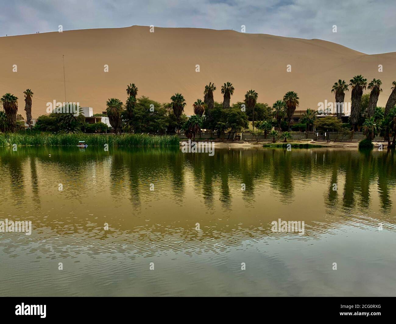 Wüstenlandschaft. Oase Huacachina in Peru. Landschaftlich schöner desertischer Natursee umgeben von hohen Sanddünen. Gelbe Sanddüne, grüne Palmen. Stockfoto