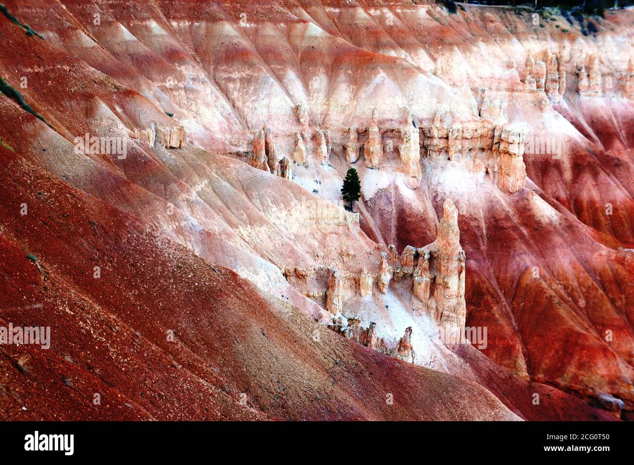 Bryce canyon Stockfoto