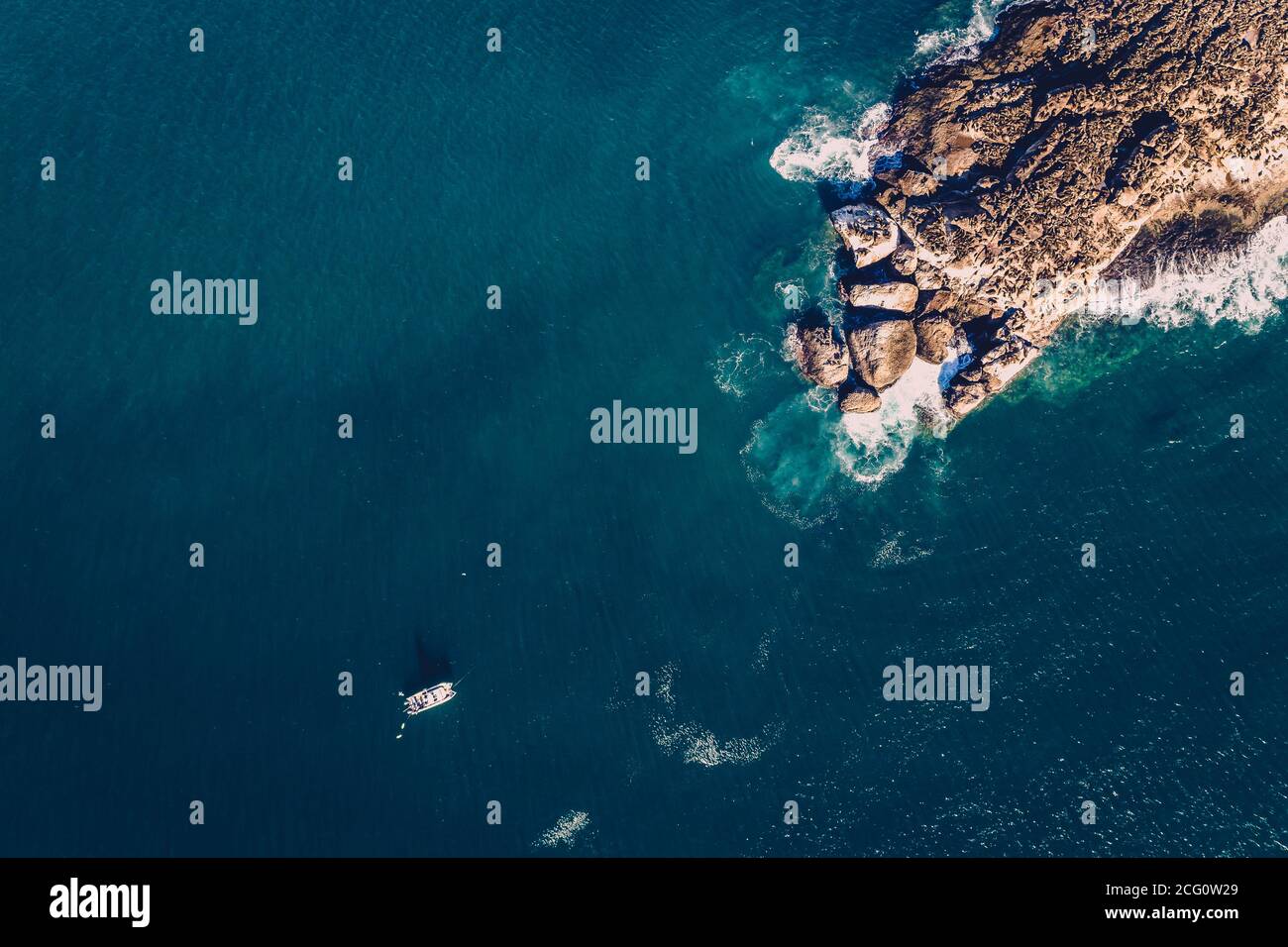 Luftaufnahme des Haifischkäfigtauchbootes neben einer massiven Robbenkolonie auf der Robbeninsel, von oben nach unten Stockfoto