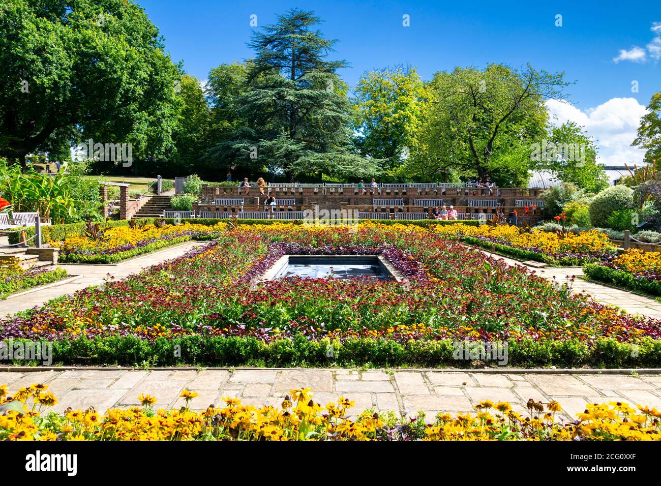 Dye Garden - versunkene Gärten im Sommer im Horniman Museum, London, Großbritannien Stockfoto
