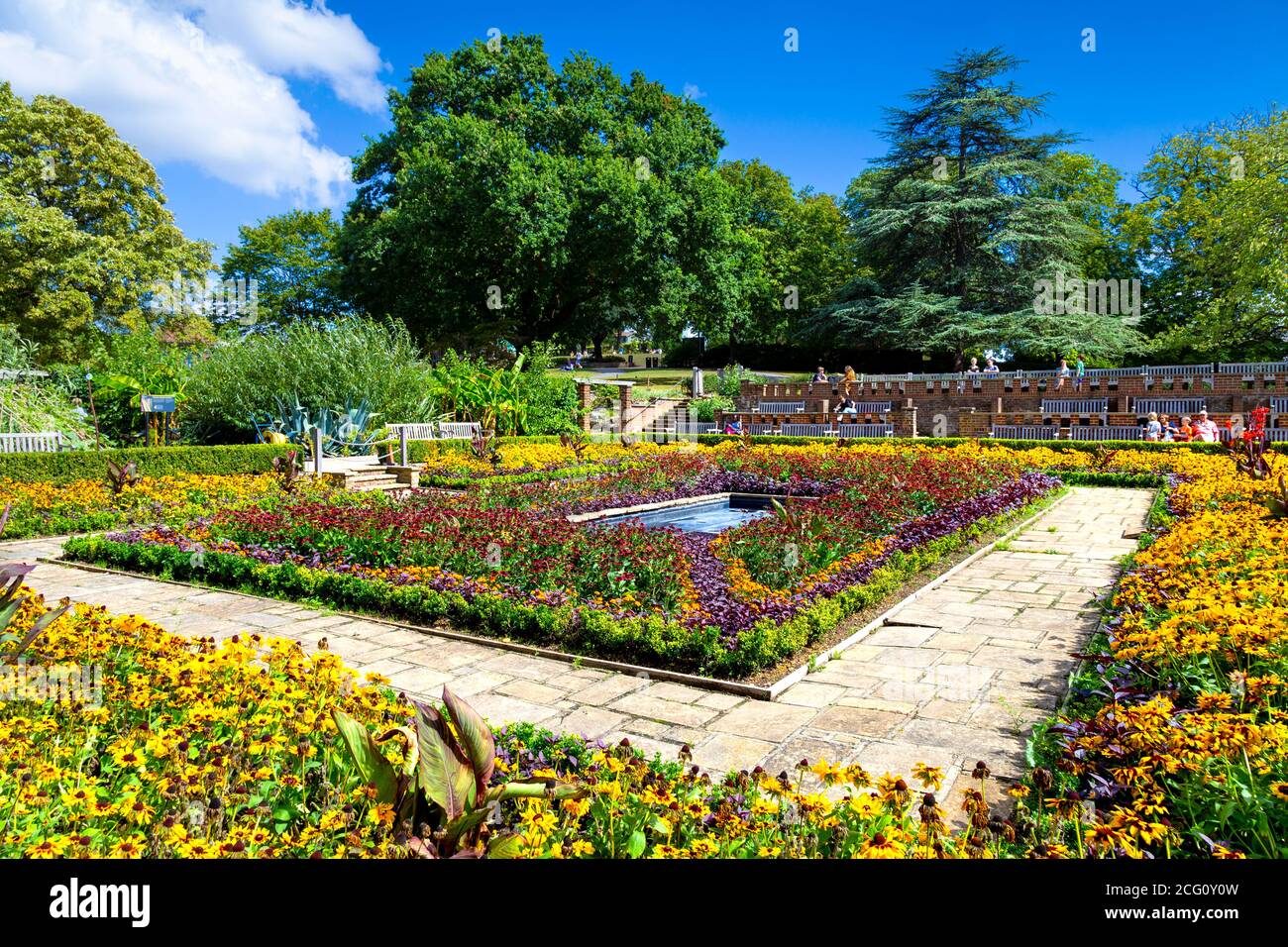 Dye Garden - versunkene Gärten im Sommer im Horniman Museum, London, Großbritannien Stockfoto