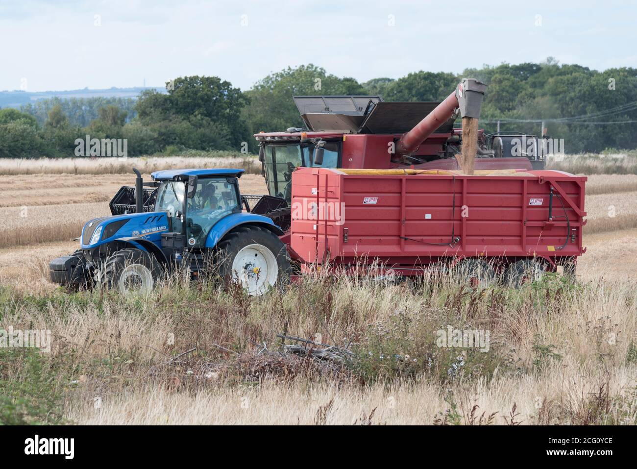 Mähdrescher schneiden Weizen. Hayling Island, Hampshire Großbritannien Stockfoto